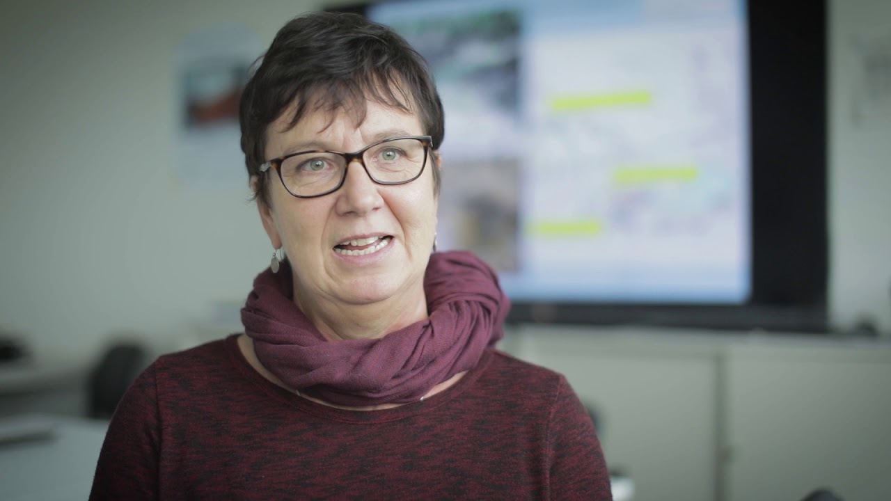 Fl&auml;chenmanagement und Gew&auml;sseraufwertung an der Nebel