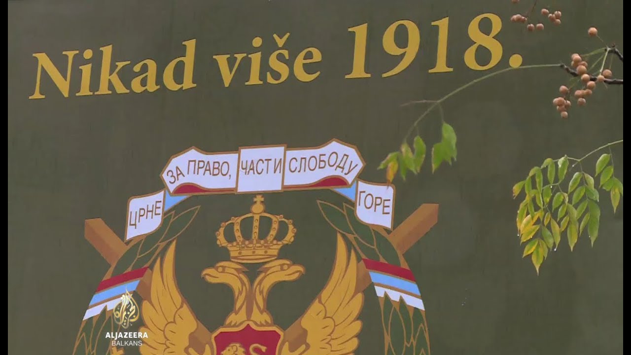Različiti stavovi o ulasku Crne Gore u Kraljevinu SHS
