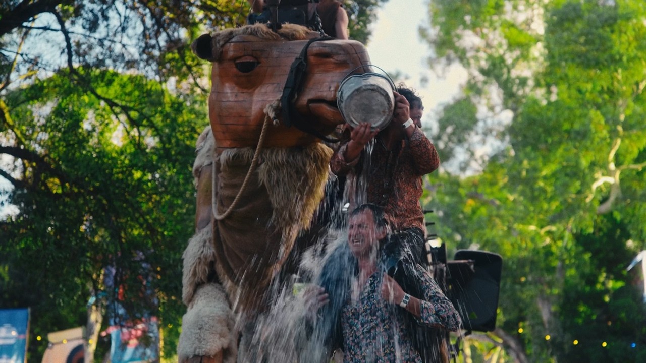 WOMADelaide 2025 - Thank you