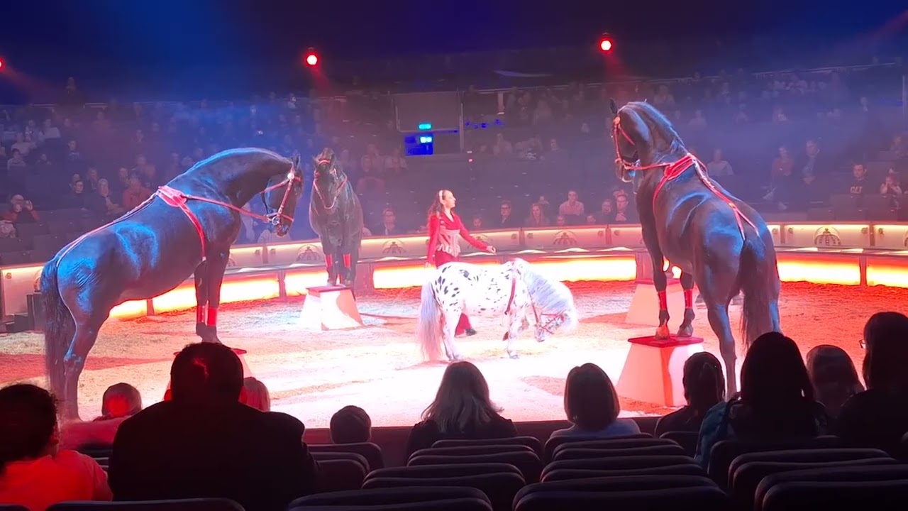 Zirkus in Regensburg 