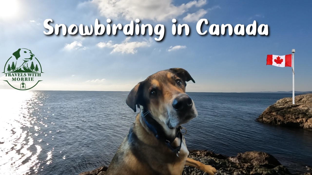 TWM   Epsiode 39   Snowbirding in Canada