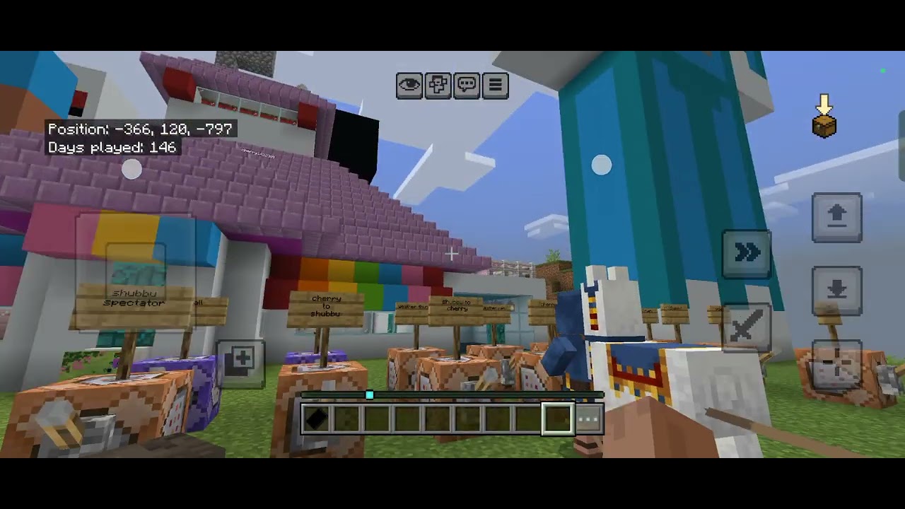 Play minecraft with sis
