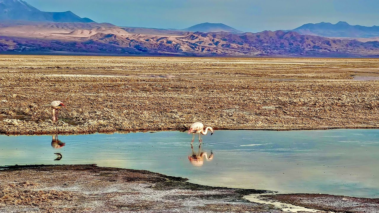 4 days in San Pedro de Atacama - Chile
