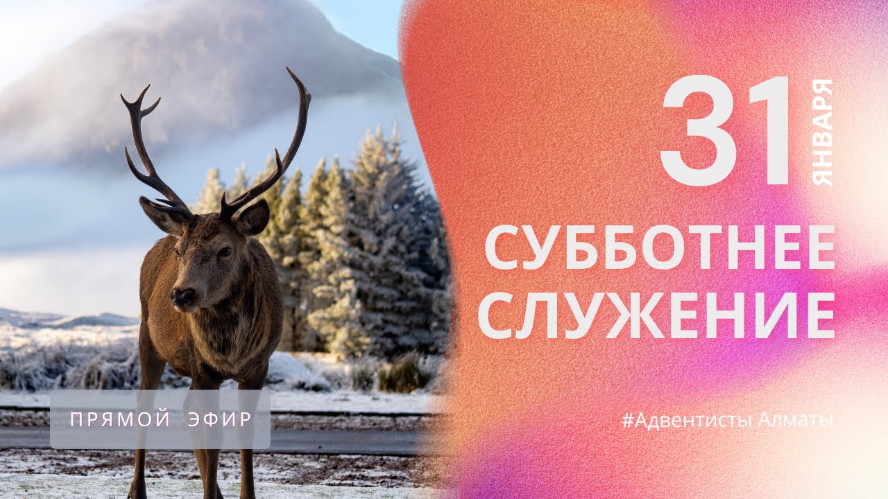 СУББОТНЕЕ БОГОСЛУЖЕНИЕ  31.01.26/ Прямой эфир / Адвентисты Алматы
