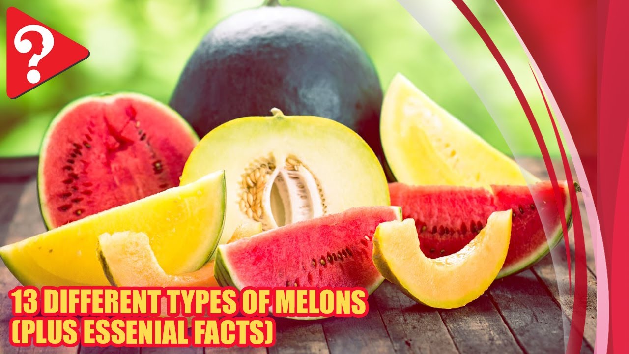 13 различных видов дынь