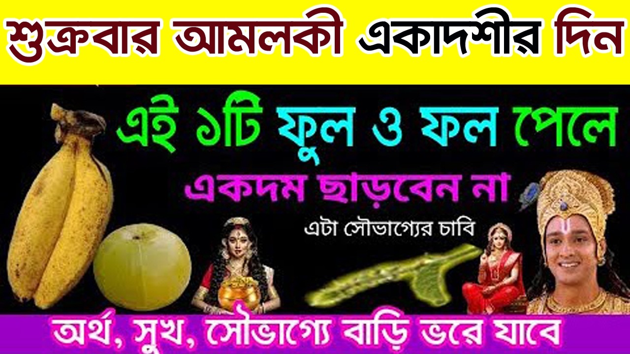 আমলকি একাদশীর দিনে এই একটি ফুল ও ফল পেলে বাড়িতে আনুন.অর্থ সুখ সৌভাগ্যে বাড়ি ভরে ওঠে।