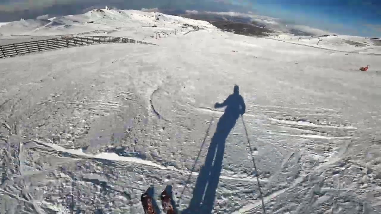 Sierra Nevada - Zorro