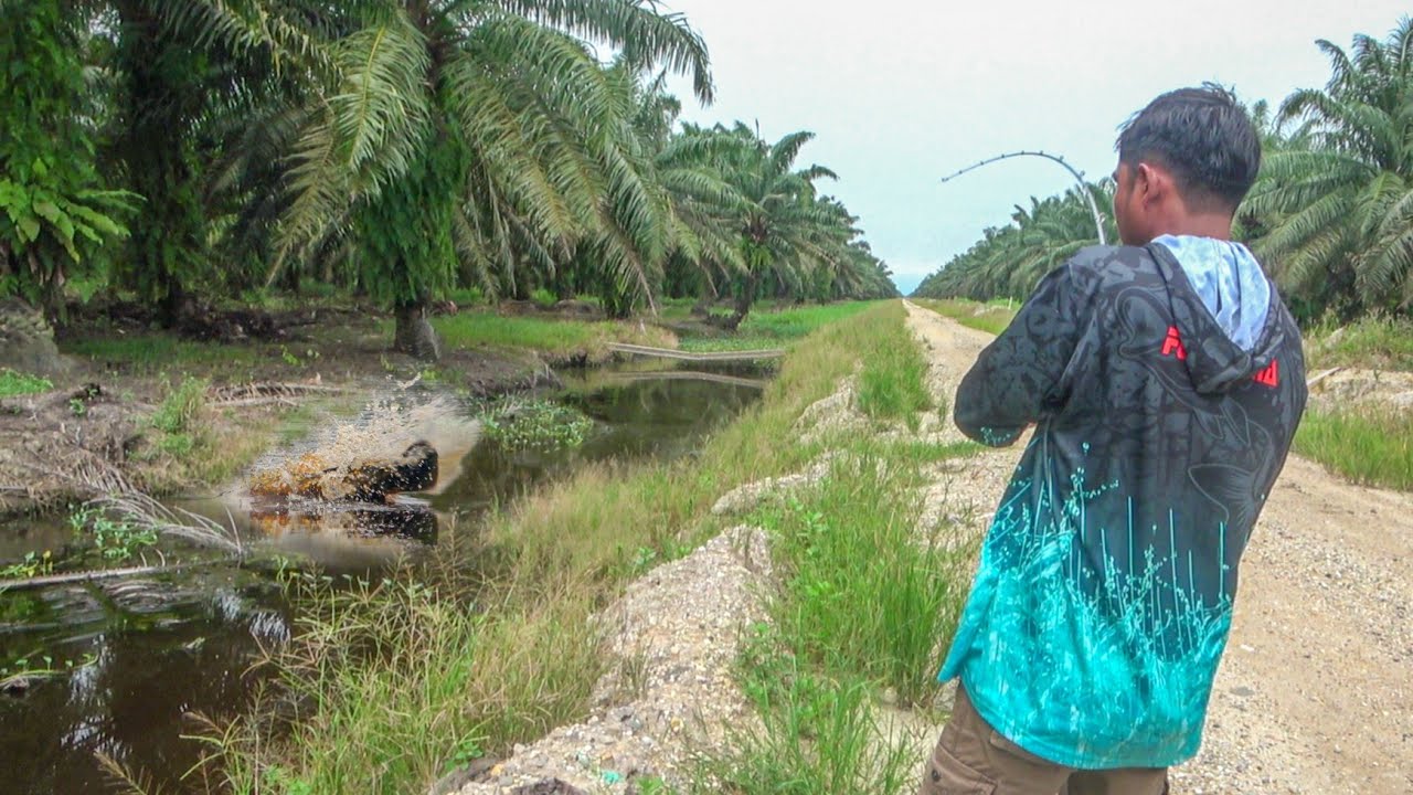 Kanal RAHASIA Ternyata Tidak Terjamah Penyetrum 😨 Jadi Sarang ikan Besar !!!