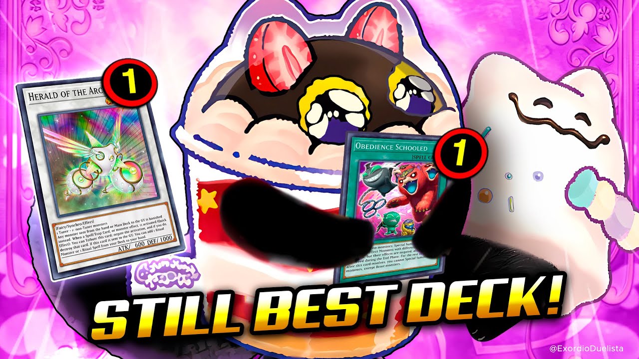 STILL BEST DECK❗ YUMMY deck Post DOOM OF DIMENSIONS | MDPRO3 Replays