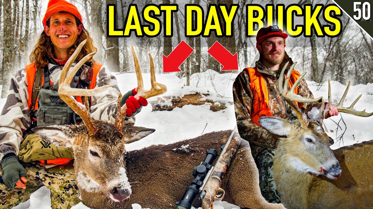 BIG BUCK Holds Tight in a DEER DRIVE! (He’s Surrounded!)