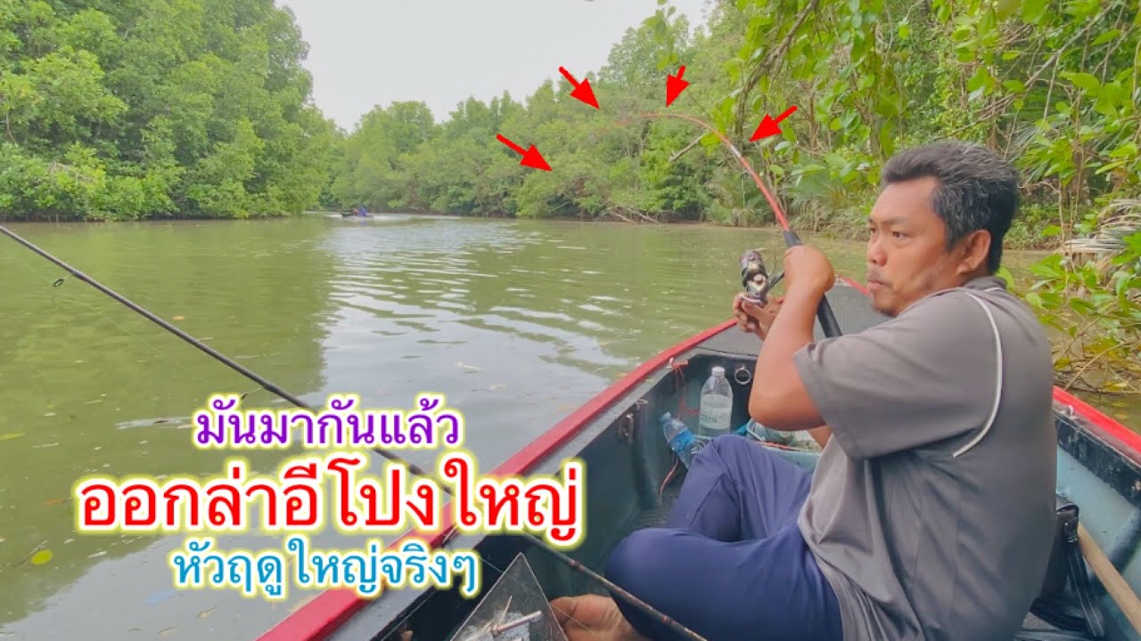 เริ่มฤดูตกอีโปงใหญ่ มันมากันแล้ว