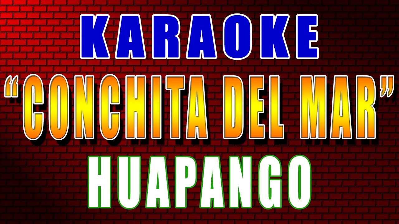 Karaoke 🐚 CONCHITA DEL MAR 🏝️ ZAPATEADO (Con Letra)🎤