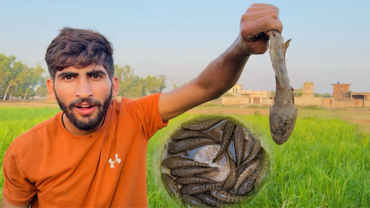 Aj Big Fish 🐟 Pakar Li 🎣 Hand Fishing in Village 