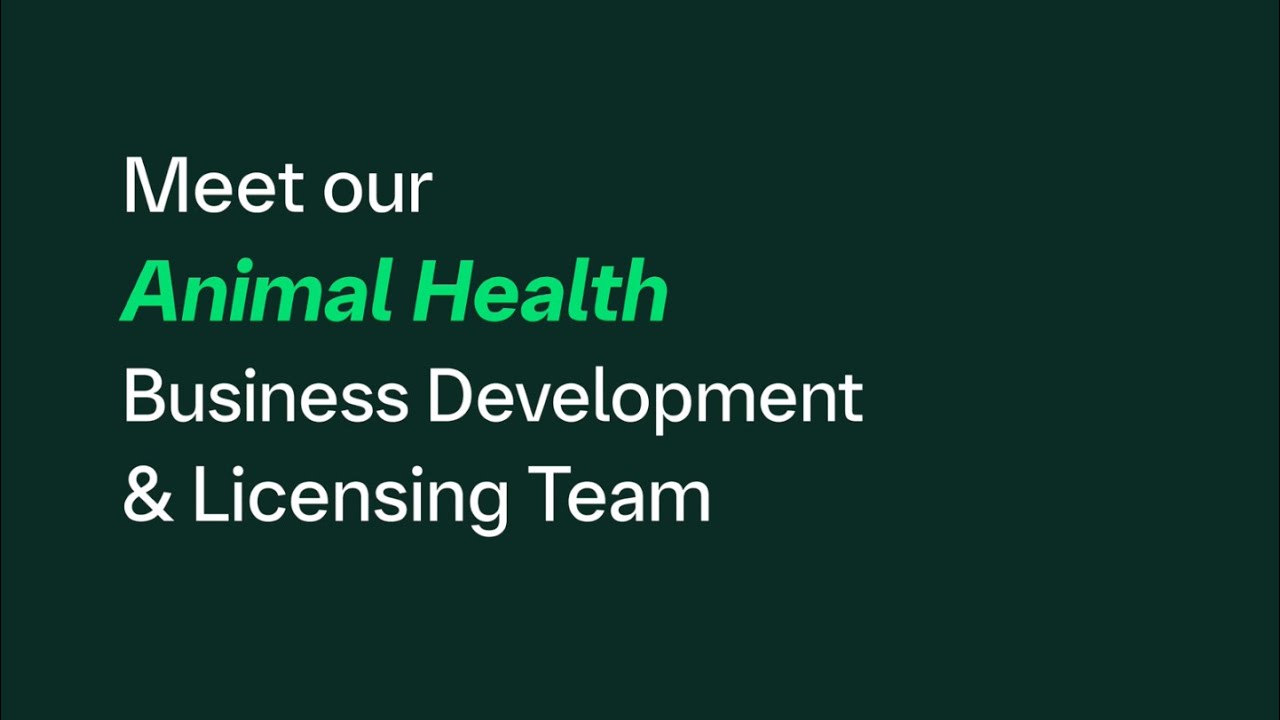 Meet the Animal Health Partnering Team