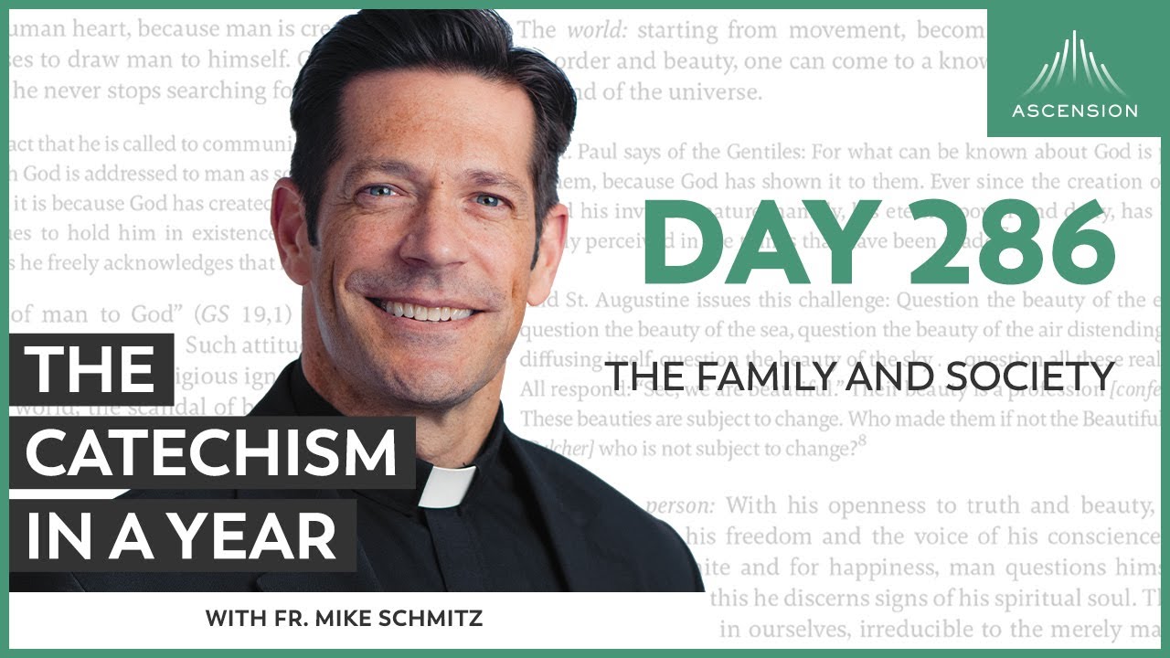 Day 286: The Family and Society — The Catechism in a Year (with Fr. Mike Schmitz)