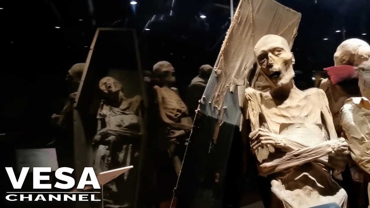 Mummy on display in Mexican museum has 'fungal growths' that may spread to visitors