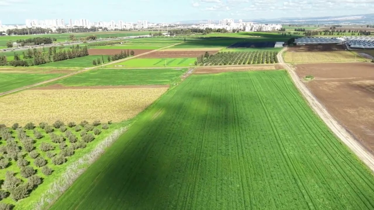 Greenfields 
