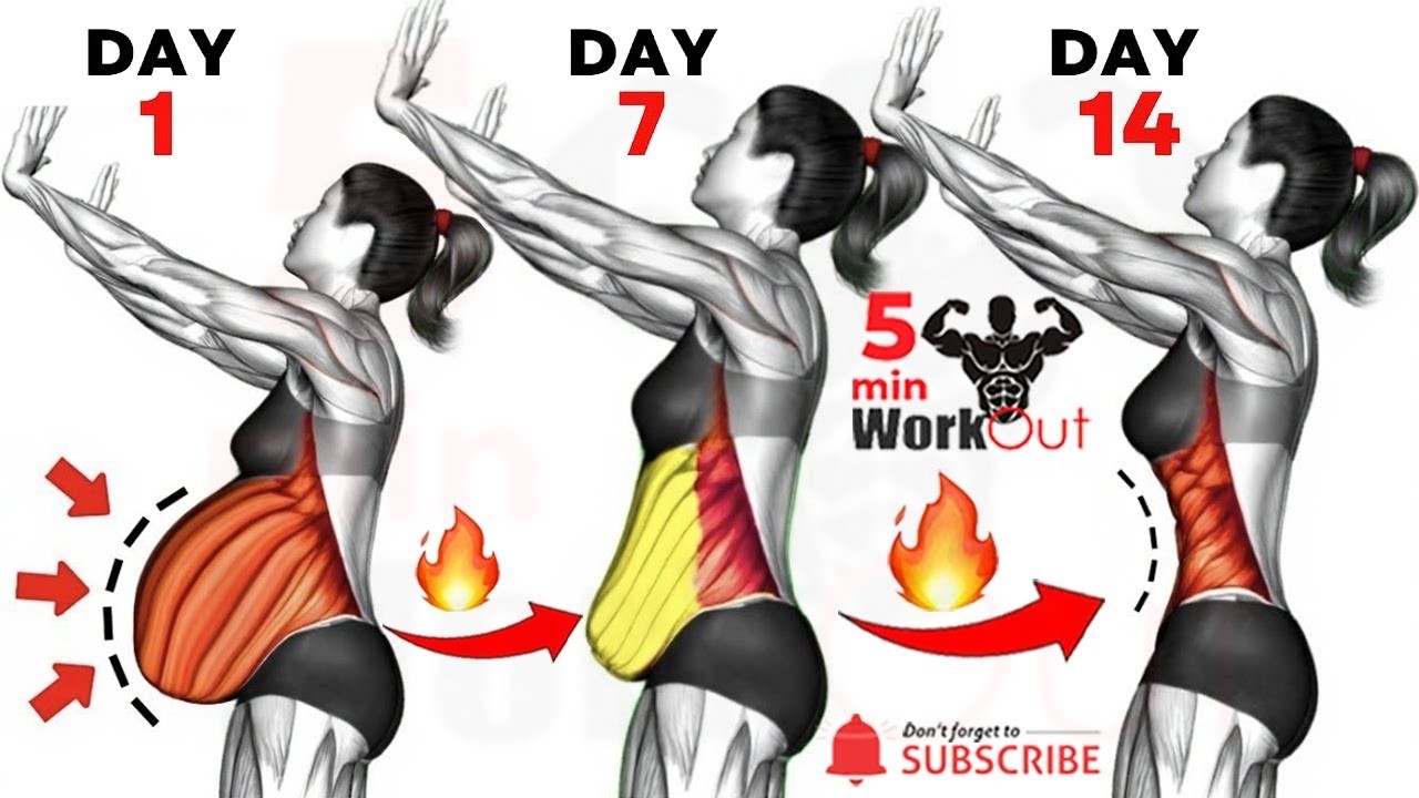 Upper & Lower Belly Fat Standing Workout For A Flat Abdomen🔥SHRINK STOMACH FAT