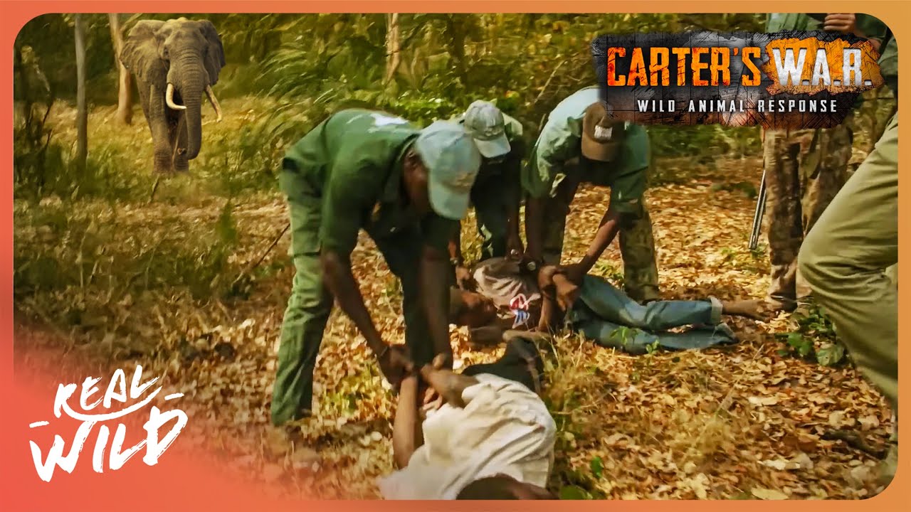 I Spent 3 DAYS Hunting Animal Poachers in Africa | Carter's WAR | 4K