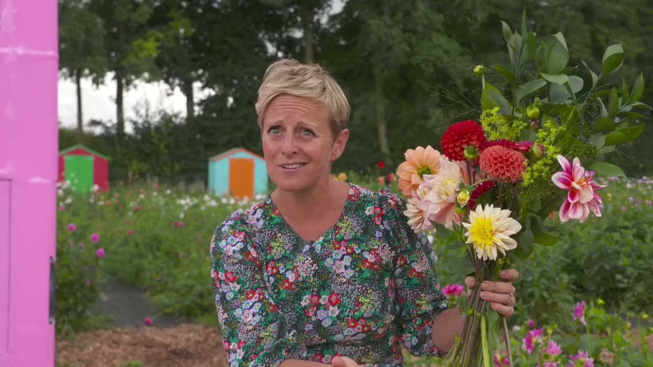 Dahlia Beach on ITV Love Your Weekend