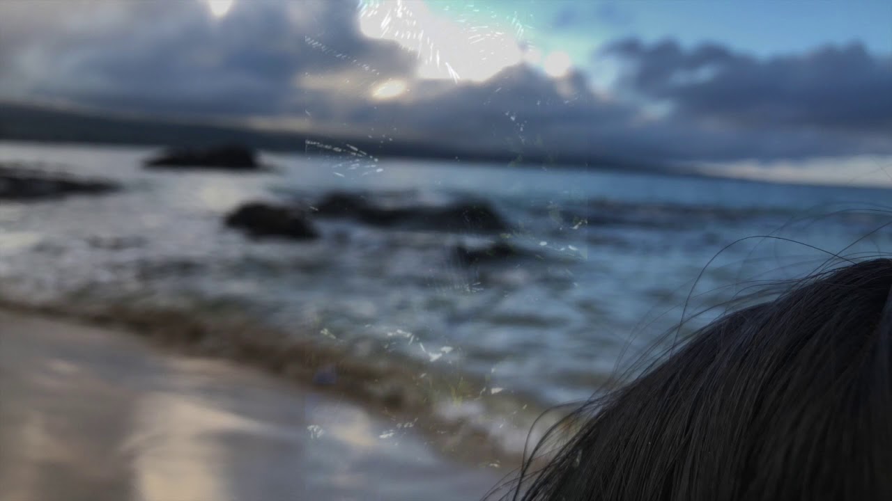 Beach Exploration