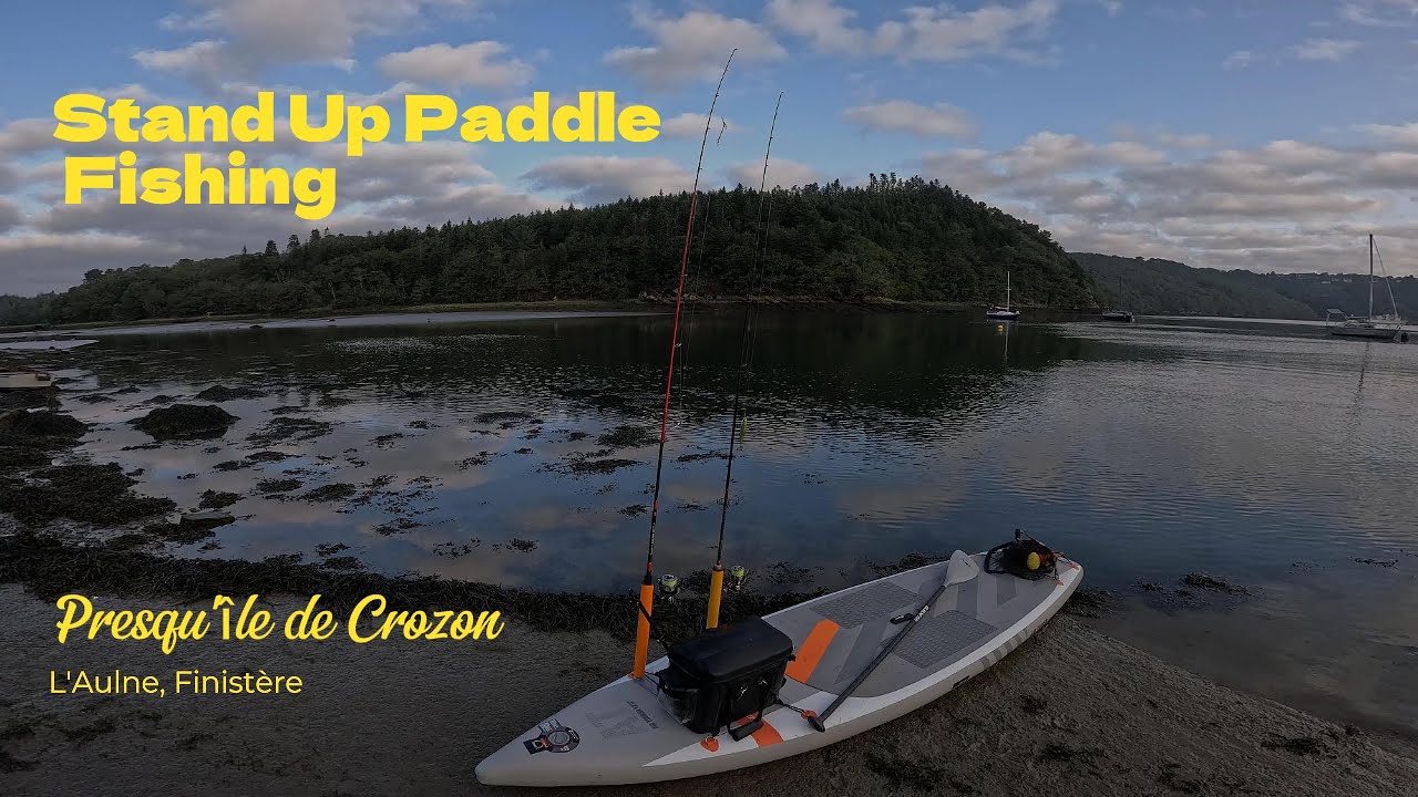 Stand Up Padlle Fishing sur L'Aulne, Daurades Royales et Bars