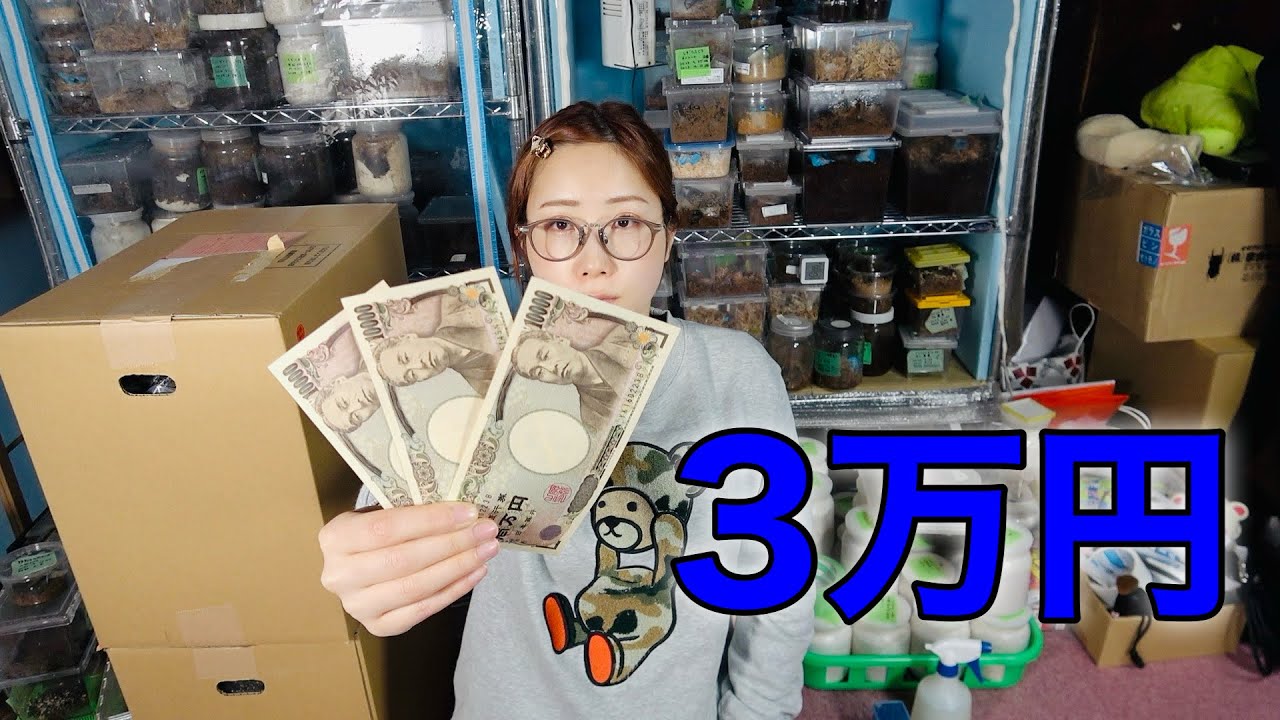 3万円で自由に昆虫買ってきてと頼んだら予想外なことに....