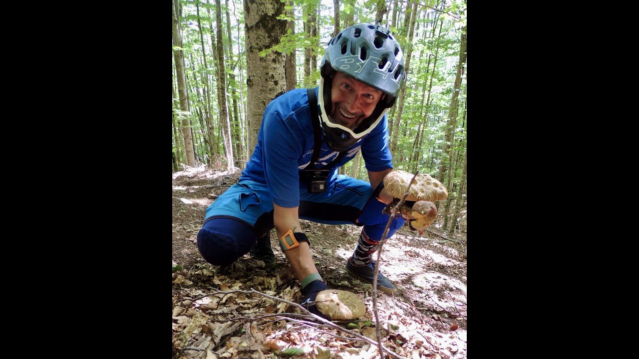 #DOGANACCIA...CUTIGLIANO