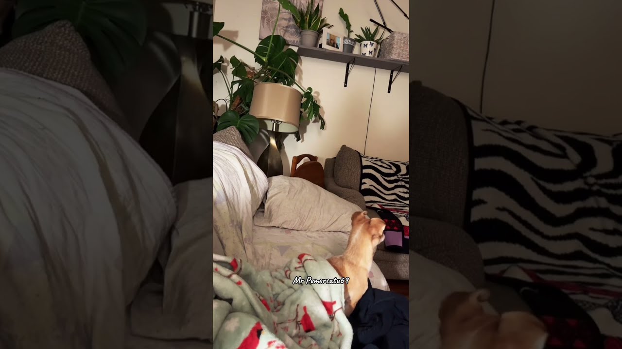 Night routine💦Sexy girl hunting for husband🤴🏹 #dailyroutine #dailyvlog #periscope 