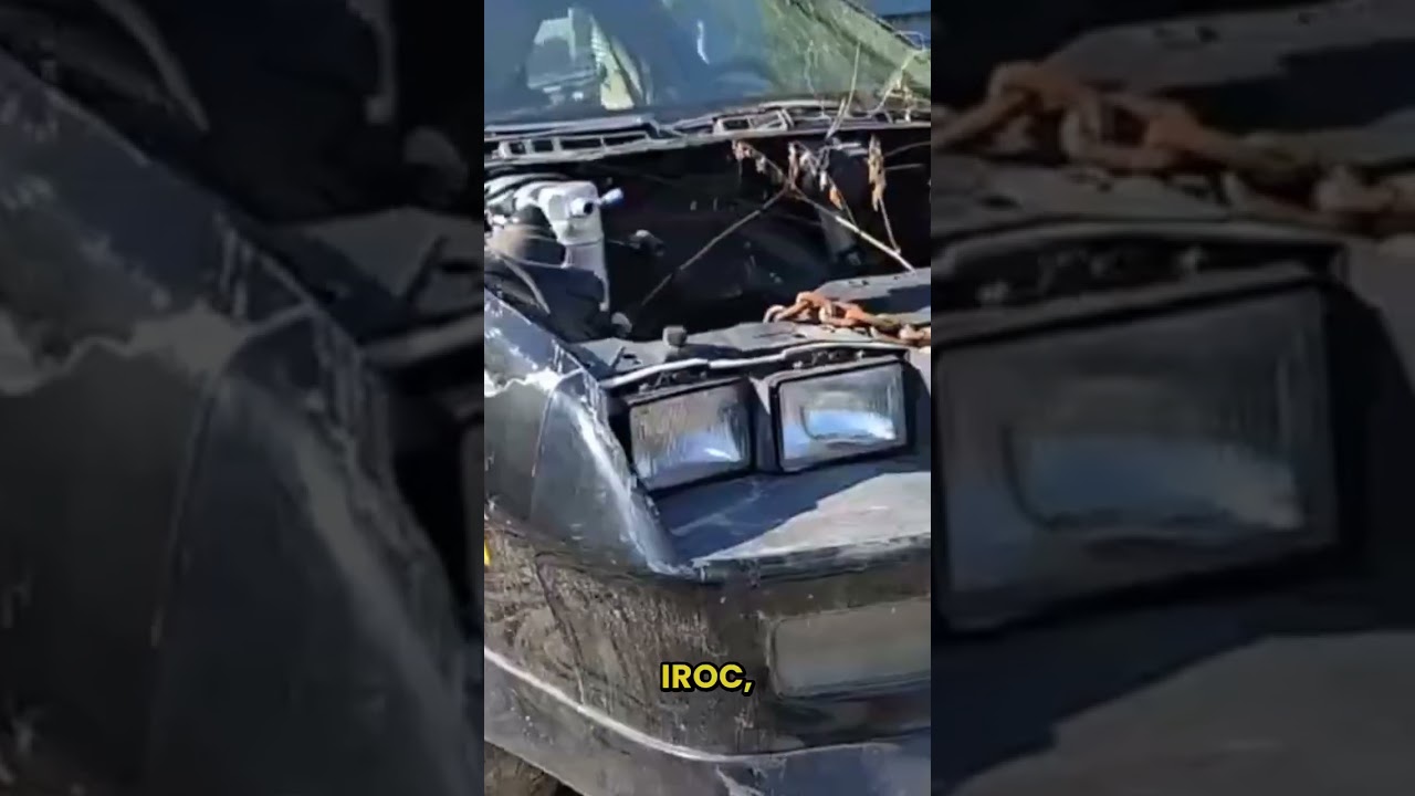 🚗 This Chick knows her 80's shit :) Chevrolet Camaro Z28 History Explained 🚗 🚗