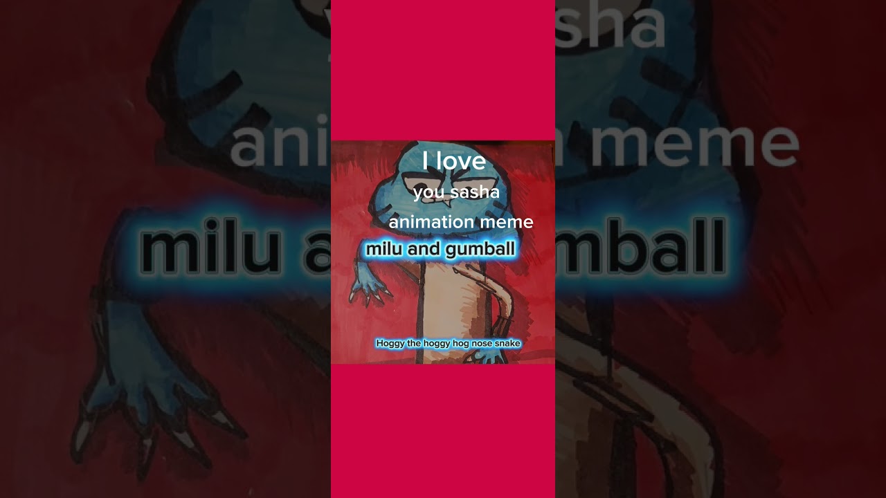 (I love you sasha animation meme) milu pilu and gumball waterson.