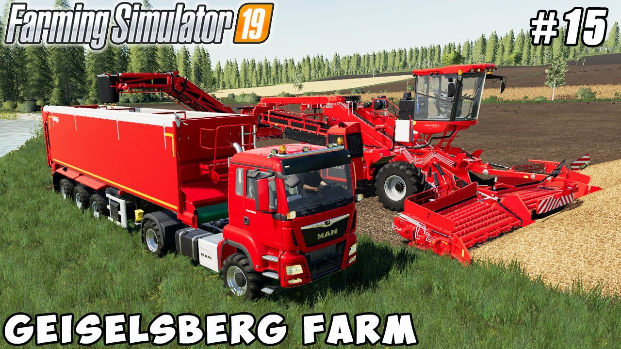 Wash and sell potatoes, sowing grass | Geiselsberg Farm | Farming simulator 19 | Timelapse #15