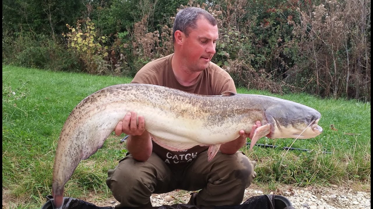Ep126 - Cat Fishing @ Todber Manor. 72hrs on Paddock Lake