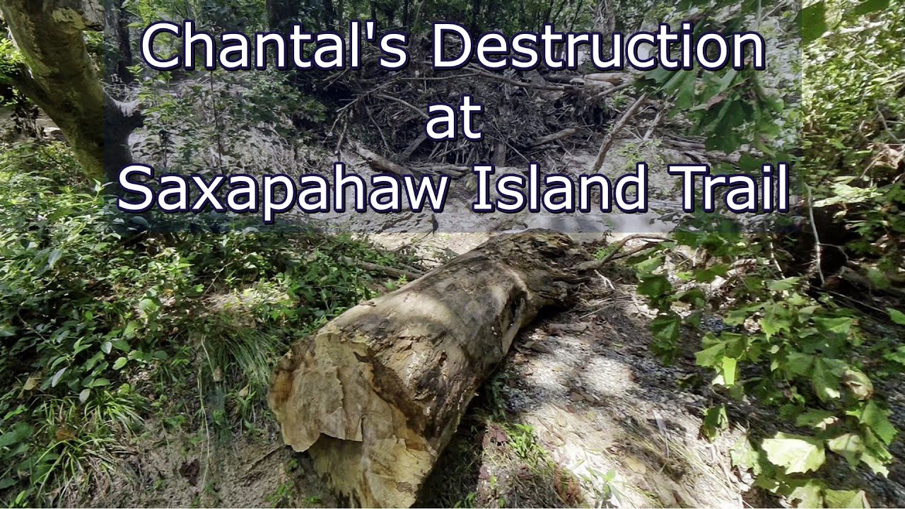 Saxapahaw Island Park in Shambles - Saxapahaw, NC