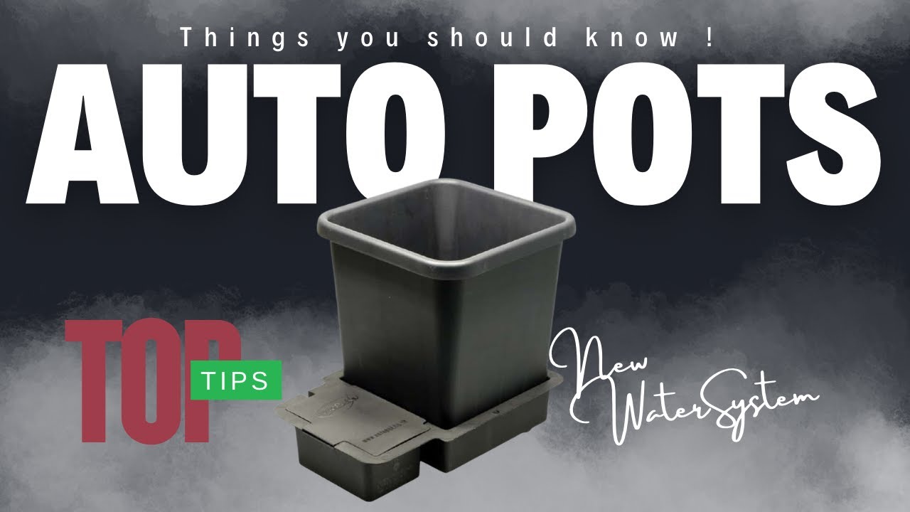 AUTOPOTS- THE PERFECT WATERING STSYEM !