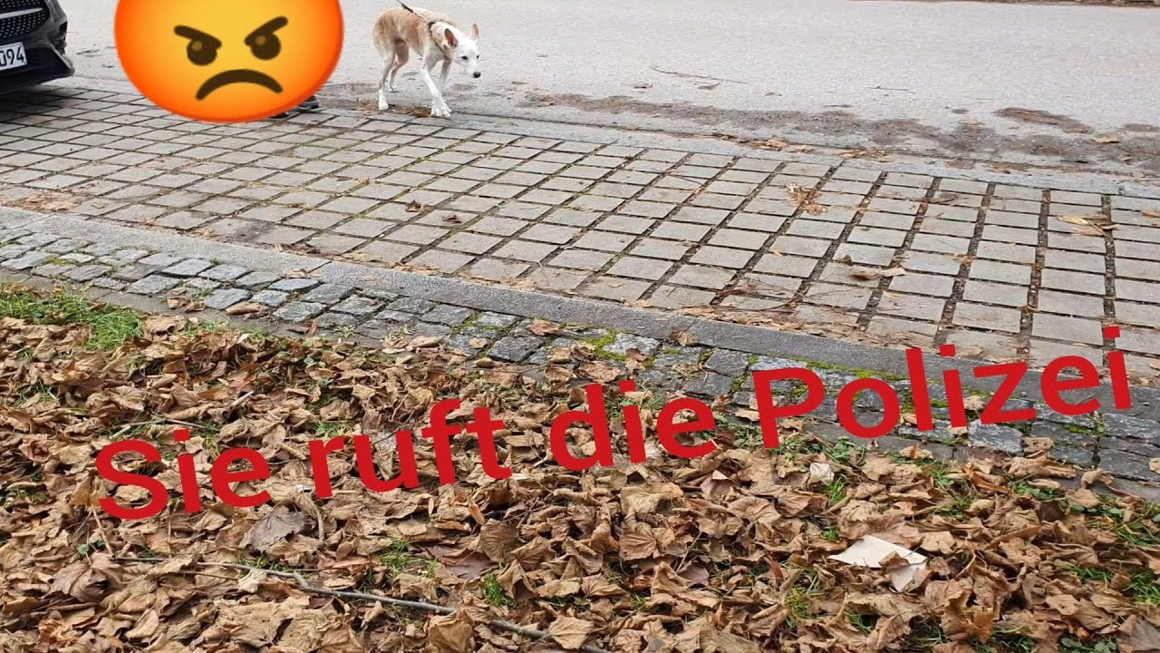 Leute rasten aus und rufen die Polizei wegen Feuerwerk