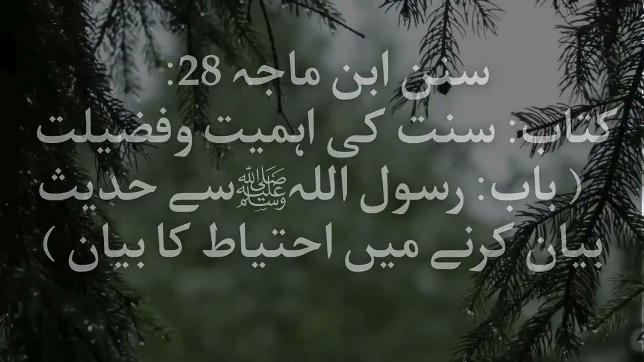 Sunnan Ibn Majah Hadith 28