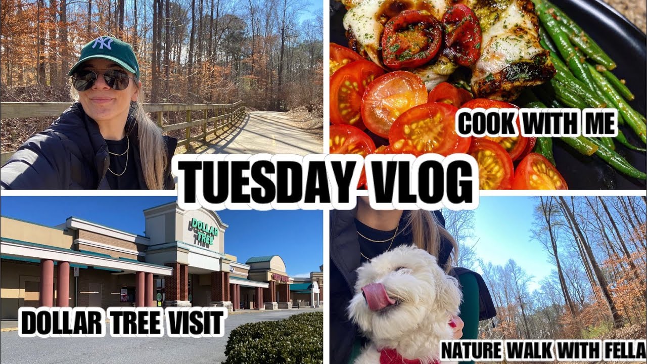 VLOG | NATURE WALK WITH FELLA | COOK WITH ME | DOLLAR TREE