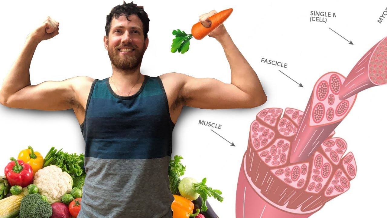 Gaining Muscle and Weight as a Vegan | Hardgainer +20 lbs