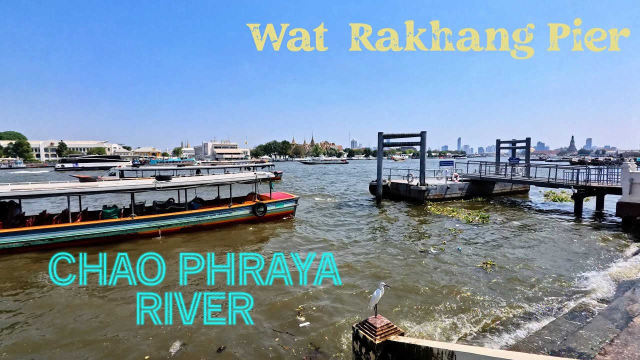 Chao Phraya River - Wat Rakhang pier - Pigeons and Fishes feeding - (Bangkok) - Thailand