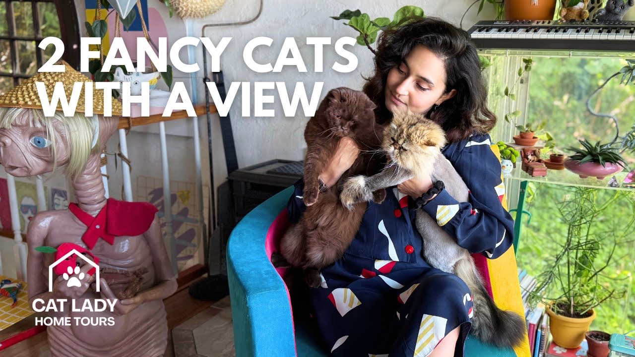 Persian & British Shorthair in a Whimsical PORTLAND Home | Cat Lady Home Tour