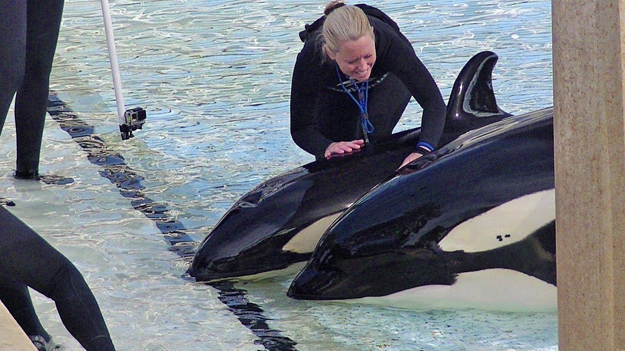 Kalia & Amaya at Medpool - Apr 24 2015 - 2 of 3 - SeaWorld San Diego