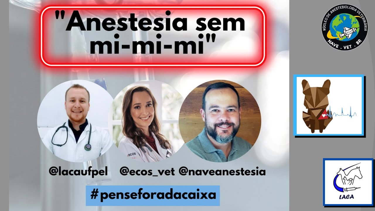 ⭕  LIVE - Anestesia sem Mi-Mi-Mi - Ecosvet + naveanestesia + lacaufpel