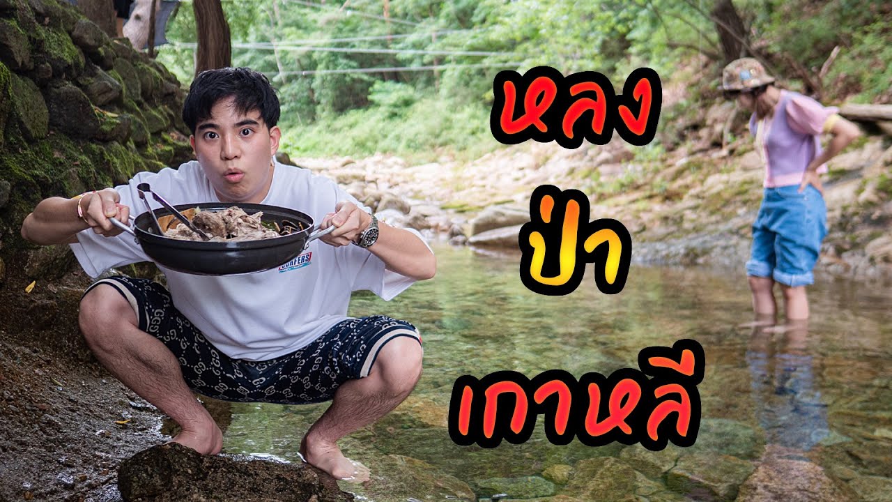 หลงป่า.. แอบปิ้งย่างกลางภูเขาน้ำตกที่เกาหลี!