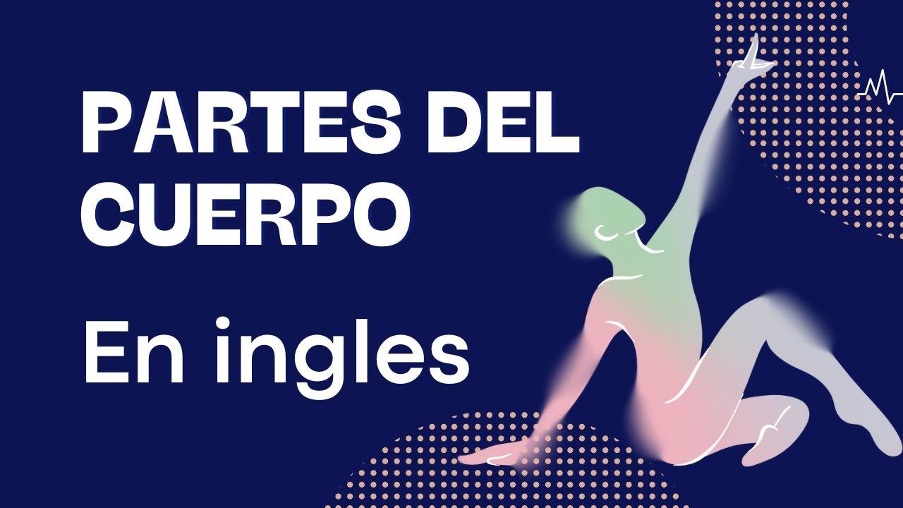 Partes del Cuerpo Humano: Inglés para Enfermería