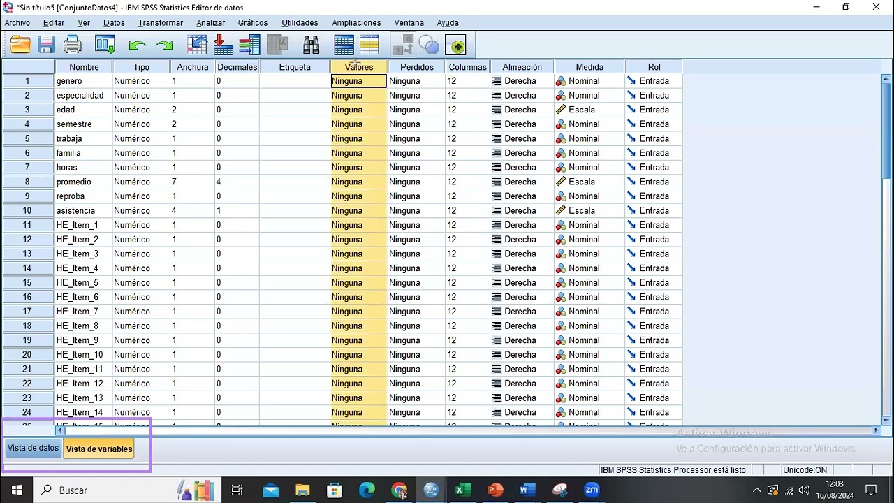 Importar datos a SPSS