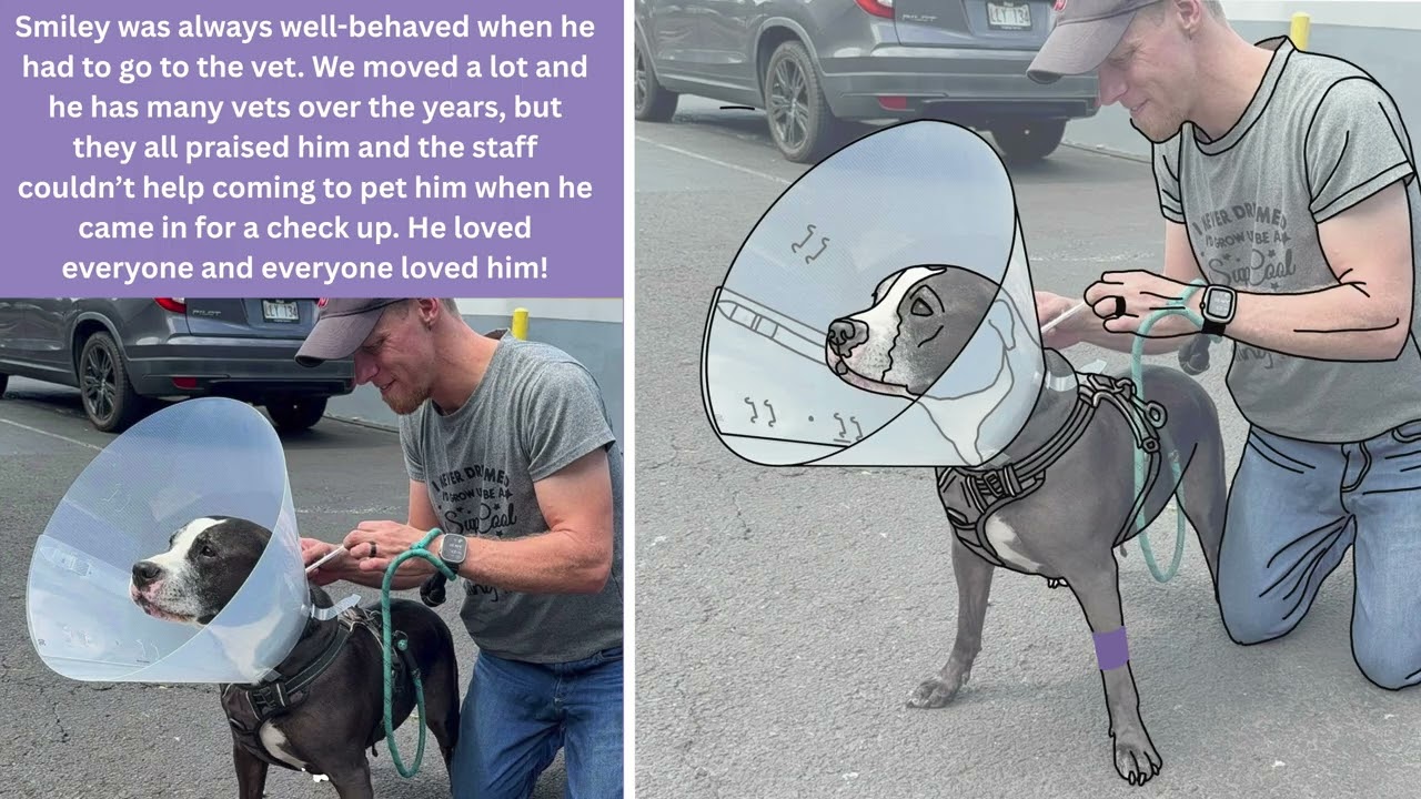 How 'What Smiley the Rescue Dog Didn't Know' by Olena Kagui Was Illustrated & Bonus Content 2026