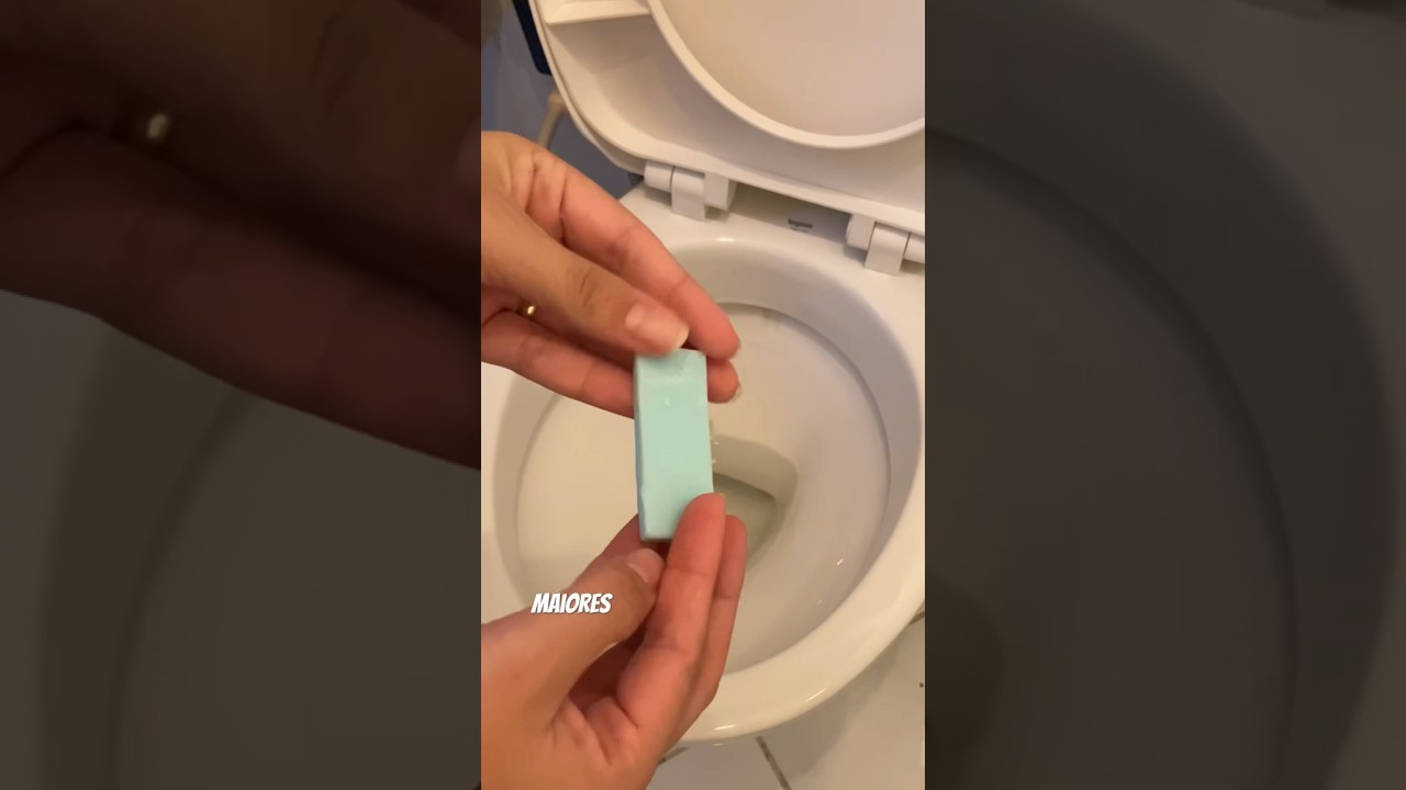 Pastilha sanit&aacute;ria caseira