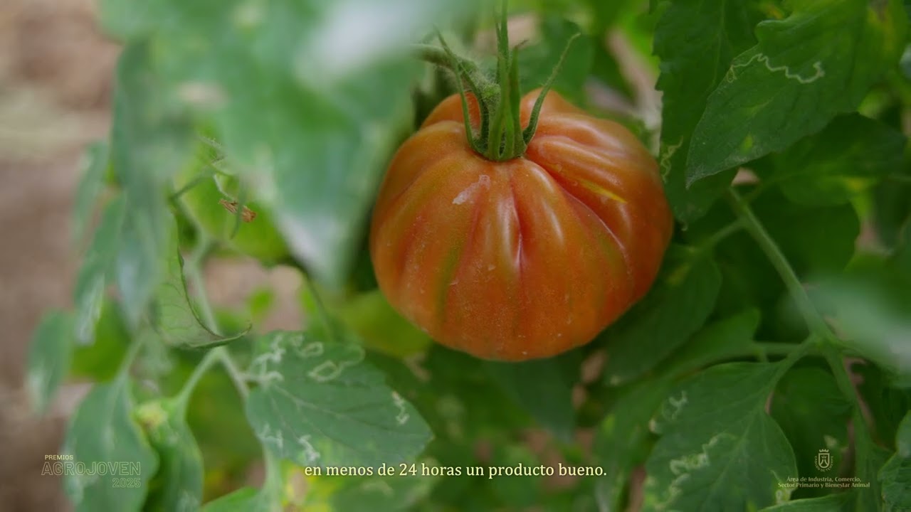🥉Tercer puesto Premios Agrojoven 2025 en la modalidad de Iniciativa Empresarial