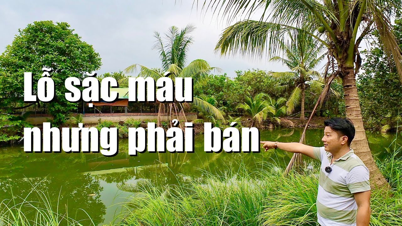 Bán lỗ sặc máu ngôi nhà vườn để đóng lãi Ngân Hàng